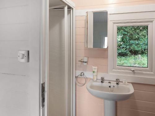 uma casa de banho com um lavatório e um espelho em 2 The Follys - Uk45188 em Abbotskerswell
