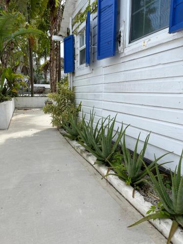 Сад в Downtown Nassau Oasis Unit 3