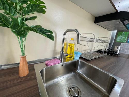 a kitchen sink with a potted plant next to it at DeLuma-Urban Suites in Jelutong