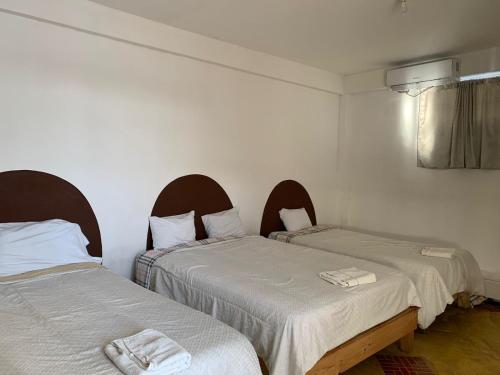 Duas camas num pequeno quarto com paredes brancas em HOTEL PUERTO REAL SUITES em Paraíso