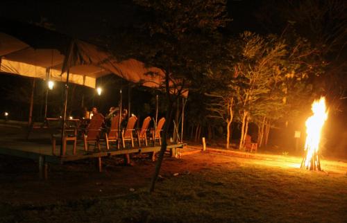 Camp Leopard - Yala Safari Glamping