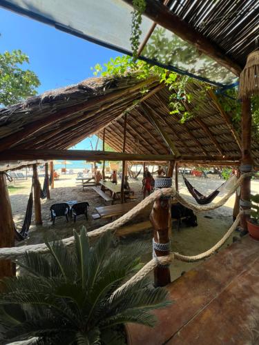 een buitenruimte met een hangmat en een strand bij Hostel Beach House in Rincón