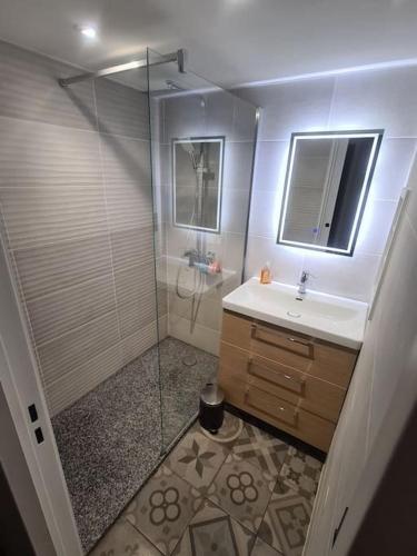 une salle de bain avec une douche, un lavabo et un miroir dans l'établissement Chalet Le Parc de Latour, au pied de la montagne, à Latour-de-Carol