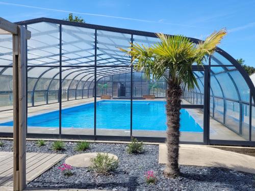 un palmier dans une serre avec une piscine dans l'établissement Chalet 3 chambres avec piscine chauffée, proche Golfe du Morbihan, idéal pour familles! - FR-1-783-5, à Marzan
