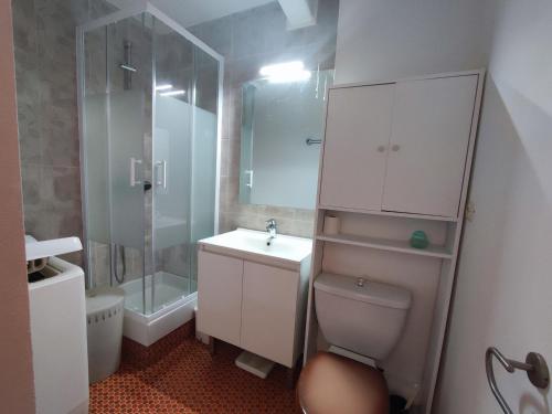 une salle de bain avec toilettes, lavabo et douche dans l'établissement Appart climatisé 4 pers, proche plage et commerces - FR-1-776-87, à Argelès-sur-Mer
