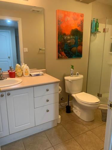 a bathroom with a toilet and a sink at 2 bedroom basement with private entrance in Guelph