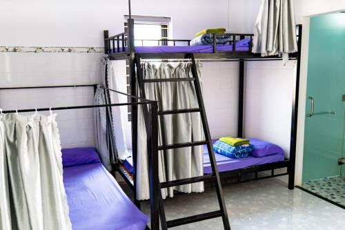 two bunk beds in a room with purple beds at Nalani Homestay & Hostel Hoi An in Hoi An