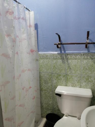 a bathroom with a toilet and a shower curtain at Hotel 24/7 in Comayagua