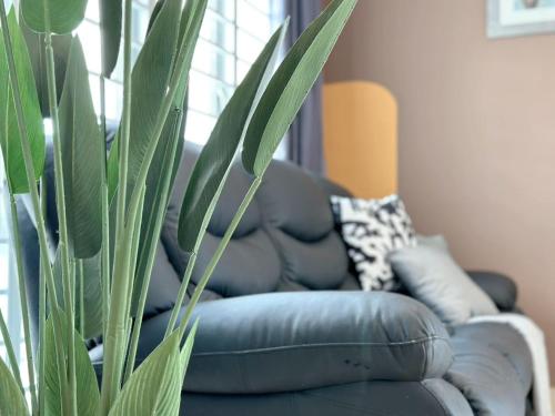 a living room with a black couch and a plant at Manhattan Austin By JC Home in Johor Bahru