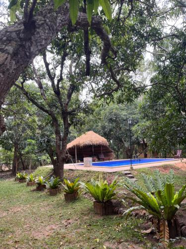 a park with a swimming pool and trees and plants at Bissa Villa in Habarana