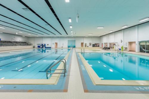 une grande piscine intérieure d'eau bleue dans l'établissement Lovely comfy home private bath in central Calgary, à Calgary