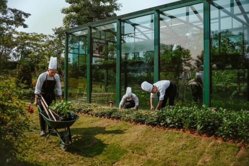 a group of people working in a garden at JW Marriott Hotel Hanoi in Hanoi