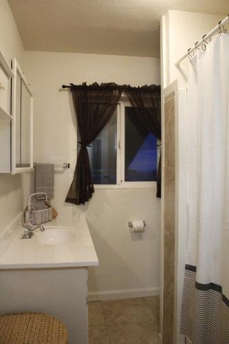 a bathroom with a sink and a window at Hummingbird Hill - Entire Cabin in Dunlap