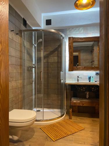 Un baño con ducha, inodoro y lavabo. en APARTAMENT ALPY, en Szlachtowa