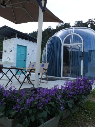 a dome tent with purple flowers in front of it at The Starry Dome in Cameron Highlands