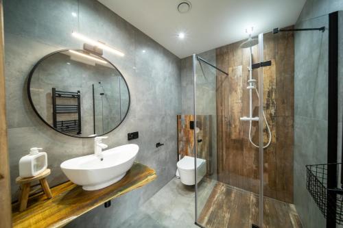 een badkamer met een wastafel en een spiegel bij Apartamenty Czarni Górale in Barcice