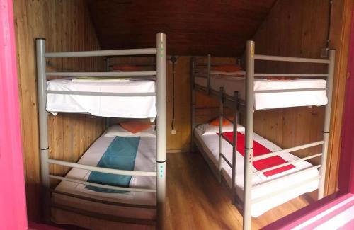 Hostel Flamingo Costinesti في كوستينيشت: سريرين بطابقين في غرفة مع أرضيات خشبية