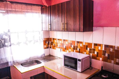 a kitchen with a microwave and a sink at S & A APARTMENTS in Thika