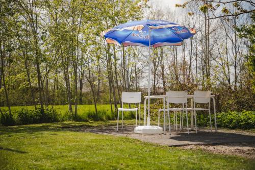 a table and chairs under a blue umbrella at Tinyhouse Spiegelpeer in Ruinerwold