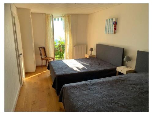 a bedroom with two beds and a window at La Vigneronne, Garden in Blonay