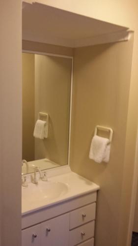 a bathroom with a sink and a mirror at Hunter Valley Retreat in Quorrobolong