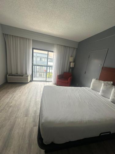 a hotel room with a bed and a large window at Super 8 by Wyndham Dallas Love Field Airport in Dallas