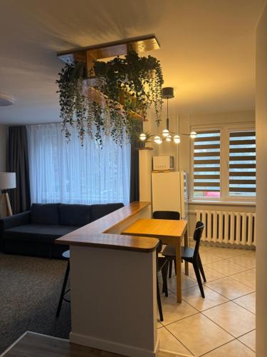 a kitchen and living room with a table and a couch at ROTUŠĖS g 23 APARTMENTS IN THE CITY CENTER BIRŽAI in Biržai