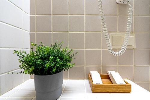 a plant in a pot next to a wooden box at Nykščio Namai & SPA in Anykščiai