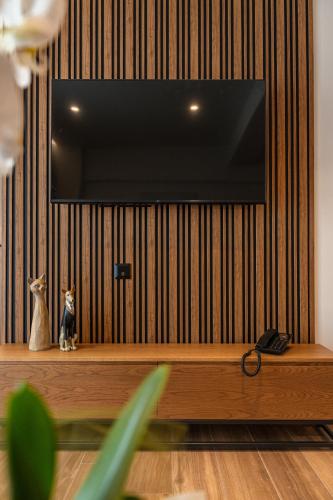 a cat sitting on a wooden shelf under a television at Volos Inn Hotel in Volos
