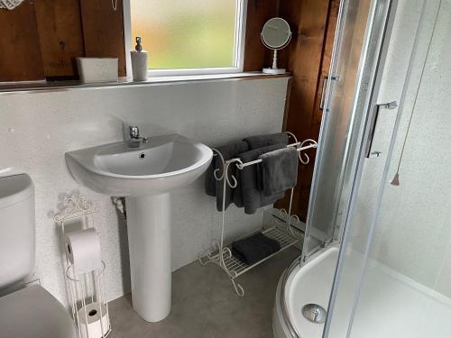 a bathroom with a sink and a toilet and a shower at Chalet Thirty Two in Seaton