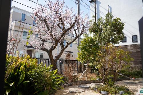 Shimokitazawa Akima