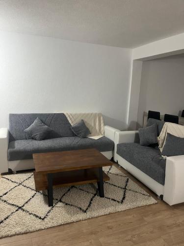 uma sala de estar com um sofá e uma mesa de centro em Appartement de vacances em Fillinges