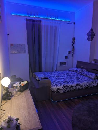 Show House photo 9