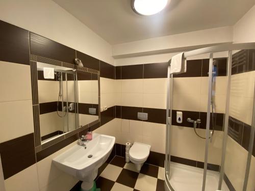 uma casa de banho com um lavatório, um WC e um chuveiro em Apartamenty Konopnicka Stargard em Stargard