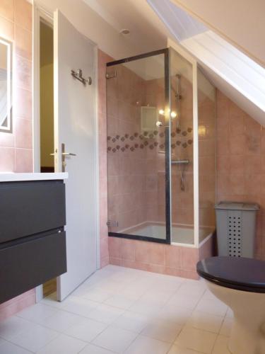 een badkamer met een douche, een toilet en een wastafel bij maison pluvigner in Pluvigner
