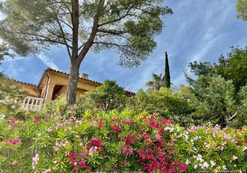 Belle villa provençale avec piscine privée في كاركيران: حديقة بها زهور أمام المنزل