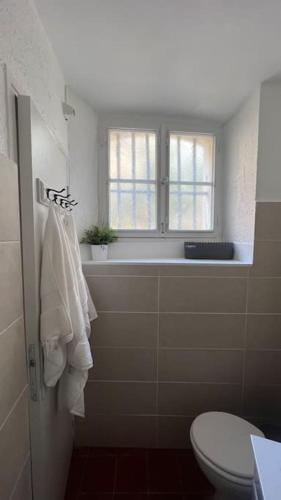une salle de bain avec toilettes et fenêtre dans l'établissement Petit Palais: Palais des Papes, à Avignon