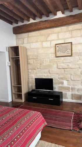 Télévision ou salle de divertissement dans l'établissement Petit Palais: Palais des Papes