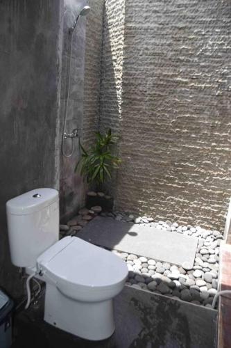 een badkamer met een toilet en een plant naast een muur bij Umaduran Wooden Hut in Silebeng