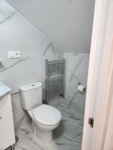 a white bathroom with a toilet and a shower at Vila Reghina in Alba Iulia