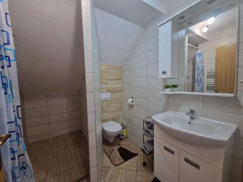 a bathroom with a sink and a toilet at Plitvice House Rosha 2 in Plitvička Jezera