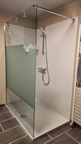 una doccia con porta in vetro in bagno di MARINA ad Aan de Wolfsberg