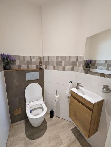 une salle de bain avec toilettes et lavabo dans l'établissement Appartement entièrement rénové au centre de Longwy, à Longwy