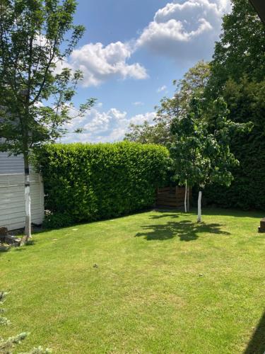 a garden with a hedge and a bench in a yard at Klimatisierte Wohnung Schwarzwald Europapark Rust barrierefrei 110 qm in Neuried
