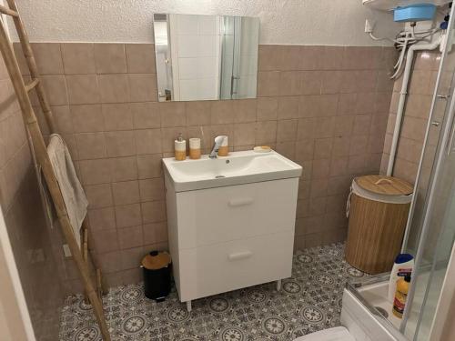 a bathroom with a sink and a mirror at Carpentras cosy& 3 voyageurs& in Carpentras