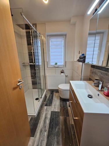ein Bad mit einer Dusche, einem WC und einem Waschbecken in der Unterkunft Ferienwohnung Muggelig in Kiel