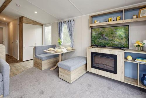 a living room with a fireplace and a tv at Home Farm Park - Static Caravans in Burgh le Marsh