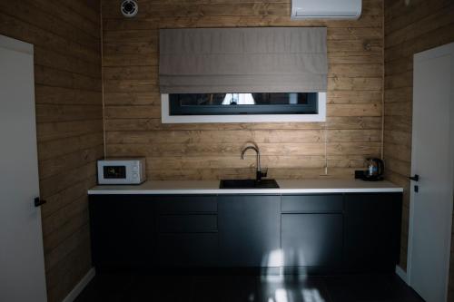 a kitchen with a sink and a microwave at Готель Logindariy 