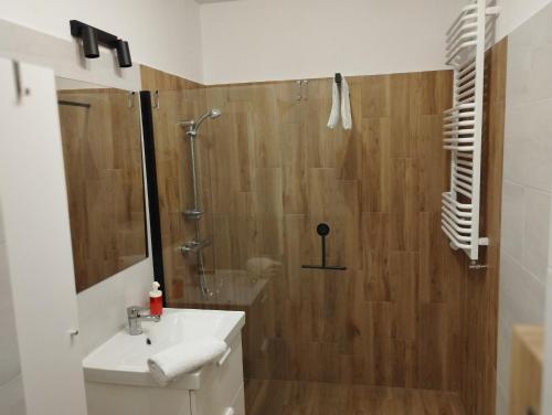 Apartament Osowskie Zacisze 욕실