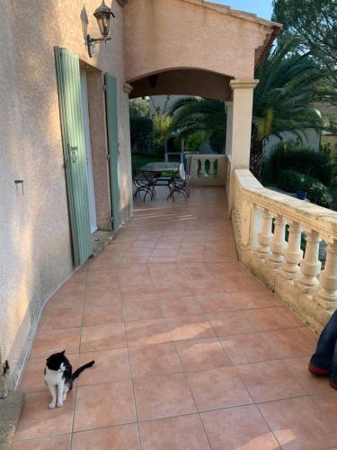 Photo de la galerie de l'établissement Villa avec piscine et jardin * Sommieres *, à Sommières